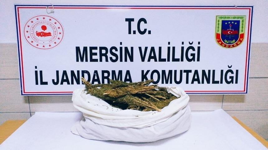 Mersin&rsquo;de 12 kilo esrar ele ge&ccedil;irildi