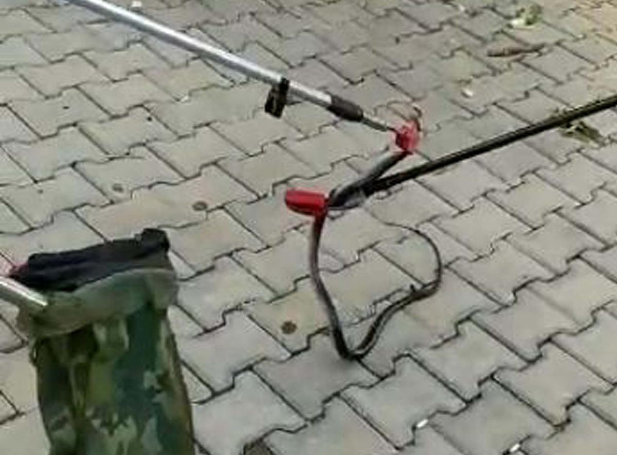 Bu kez site bah&ccedil;esinde ortaya &ccedil;ıktı! Korkutan anlarda itfaiye m&uuml;dahalesi