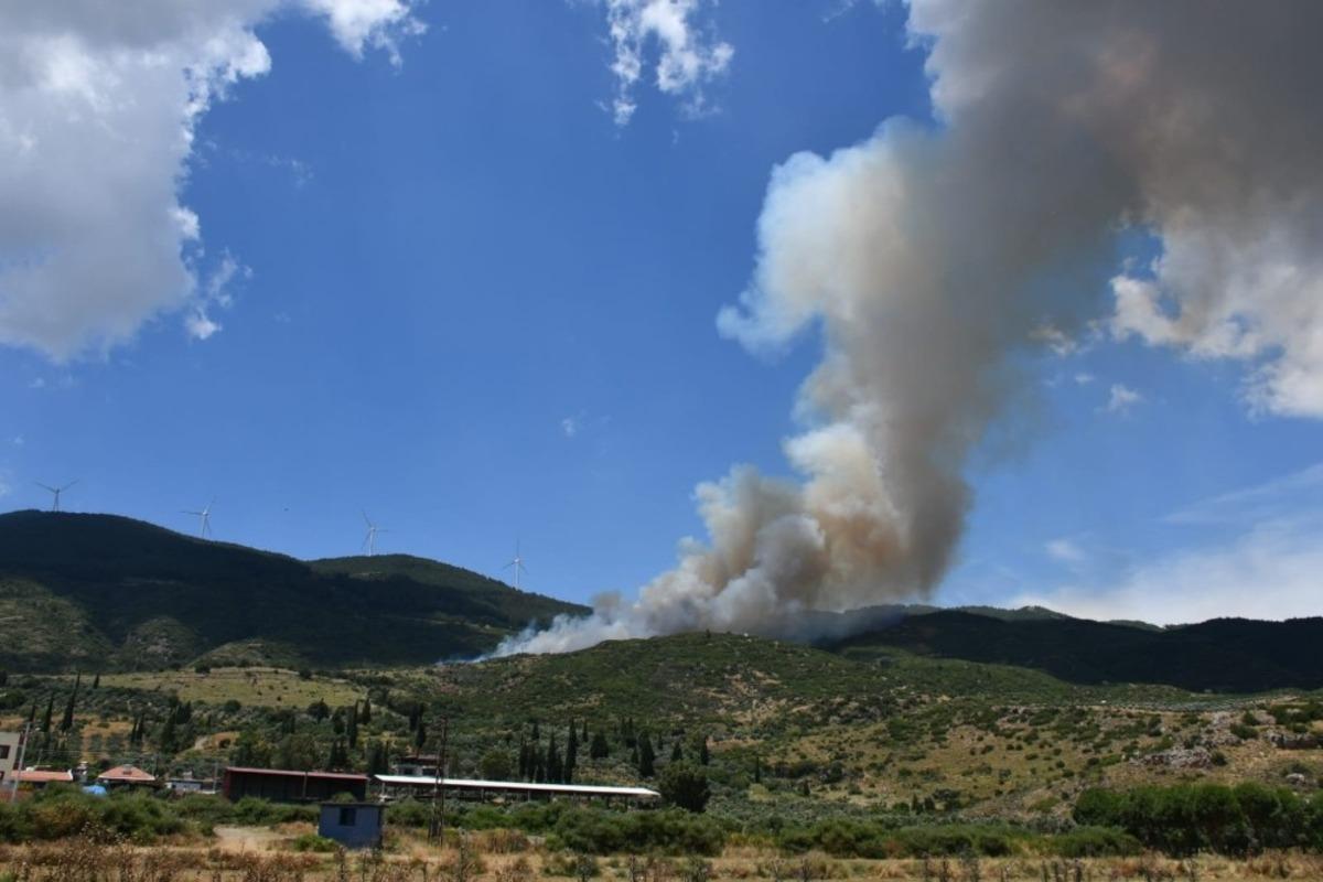 S&ouml;ke&rsquo;de orman yangını