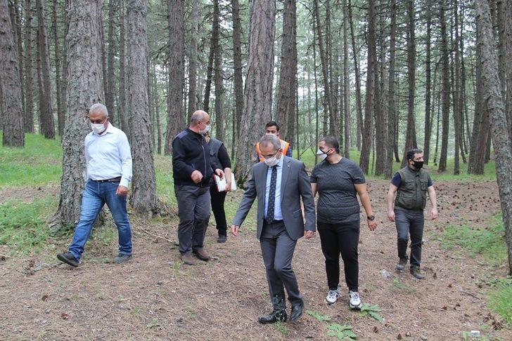 Kastamonu Dipsizgöl Tabiat Parkı turizme kazandırılacak G5