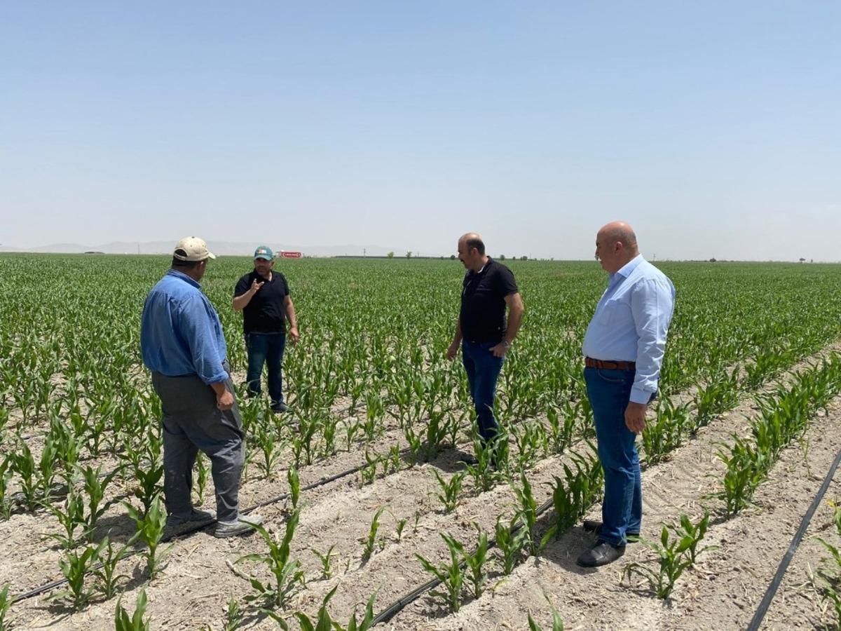 Bayram, mısırdaki beyaz sinek lekesine karşı &uuml;reticileri uyardı