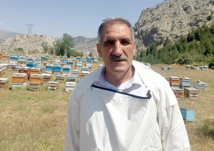 Sincik balı lezzetini geven çiçeğinden alıyor G4