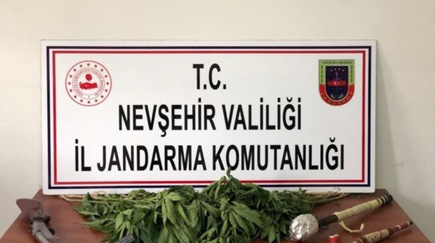 Nevşehir’de İHA aracılığıyla 30 kök Hint keneviri ele geçirildi