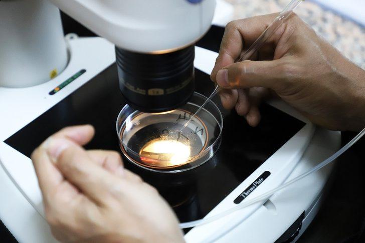 Atatürk Üniversitesi bir ilki daha gerçekleştirdi G2