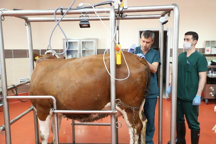 Atatürk Üniversitesi bir ilki daha gerçekleştirdi G5