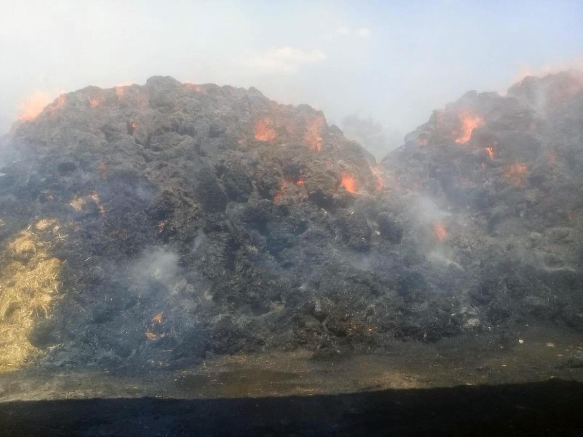 Saman balyaları k&uuml;l oldu