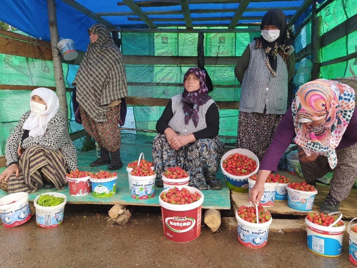 Demirci&ouml;ren &ccedil;ileği tezgahlarda