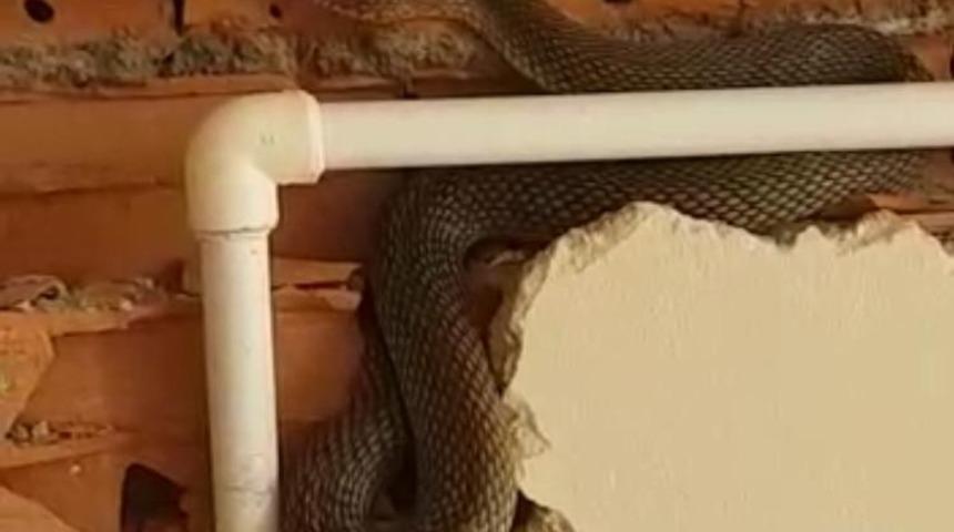 Bayılan iş&ccedil;inin yanına koştuklarında tuğlaların i&ccedil;inde yılanla karşılaştılar