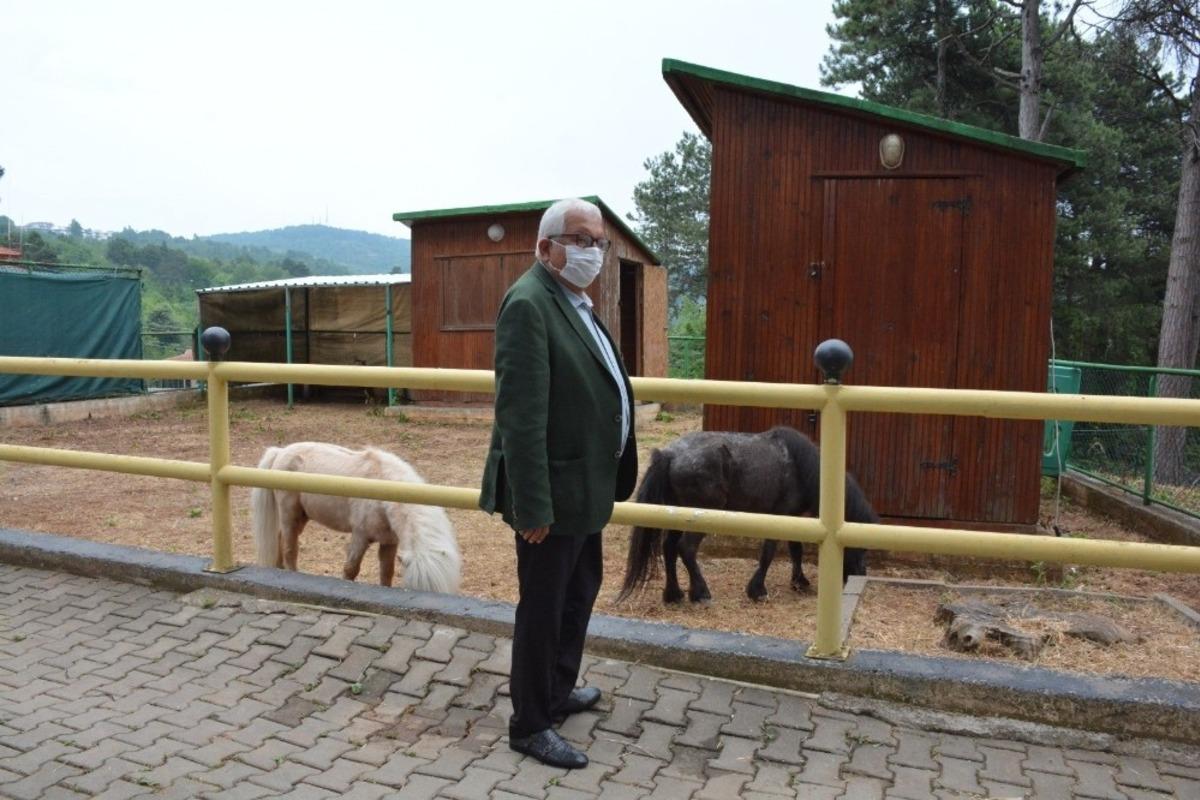 Kdz. Ereğli&rsquo;de plaj, mesire ve piknik alanları yeniden hizmete a&ccedil;ılıyor