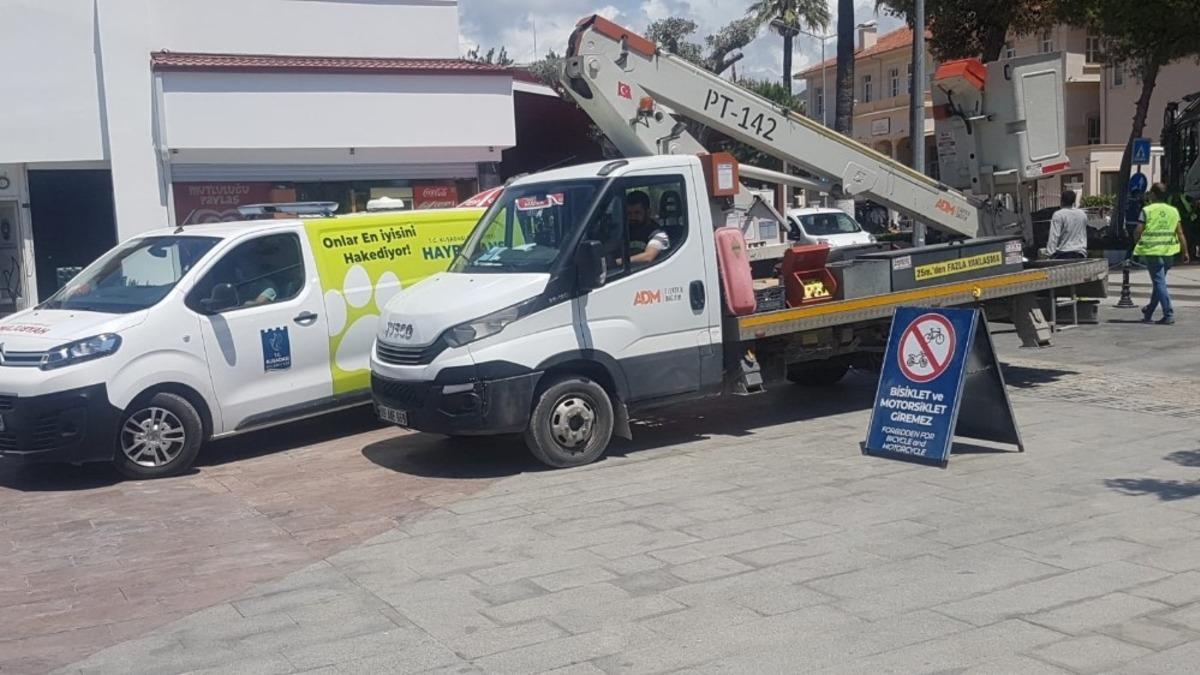 Kuşadası kedi yavrusu i&ccedil;in ayağa kalktı