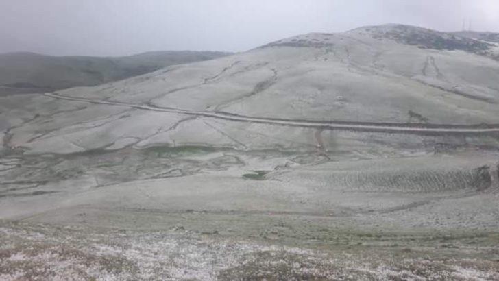 Ordu’da yaylalar beyaza büründü G1