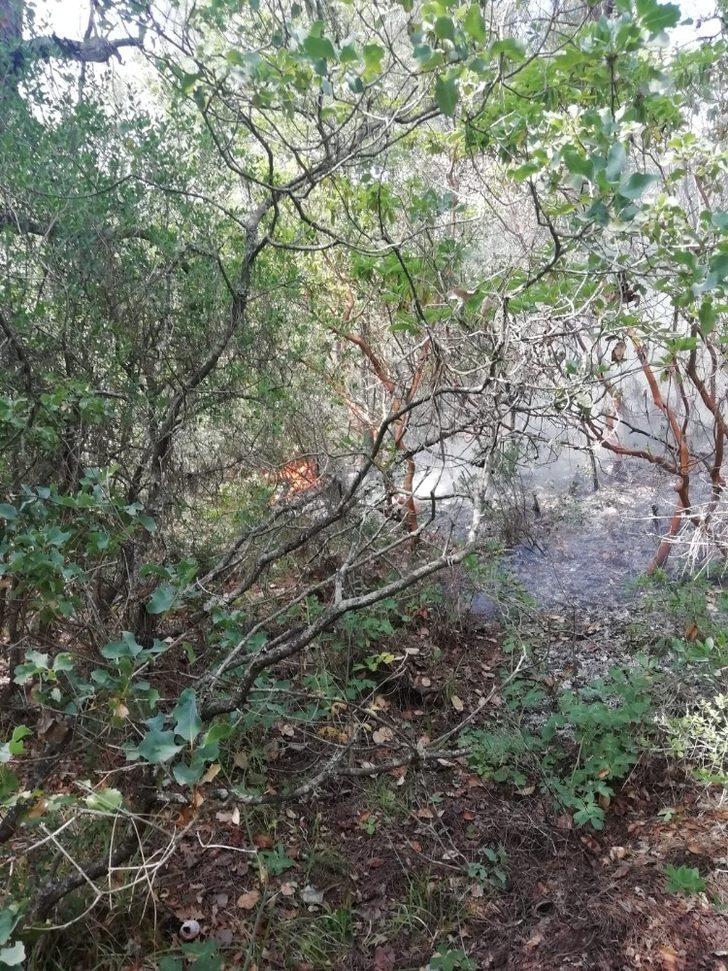 Bilecik’teki orman yangın büyümeden söndürüldü G4