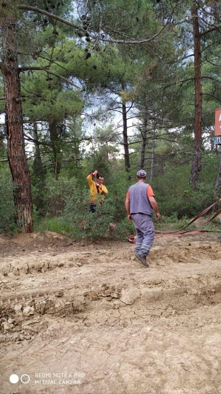 Bilecik’teki orman yangın büyümeden söndürüldü G5