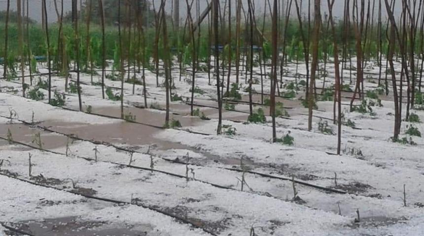 Amasya’nın Taşova ilçesinde 15 dakika yağan dolu her yeri beyaza bürüdü