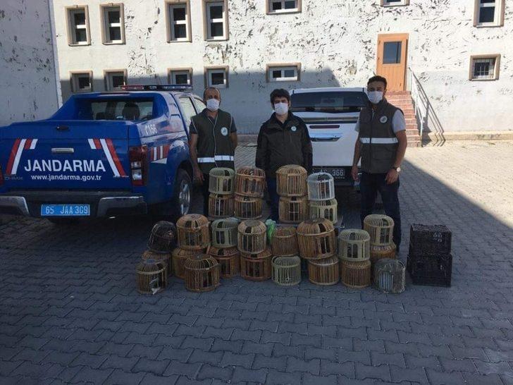 Erciş’te kaçak avlanmış 29 keklik ele geçirildi G1
