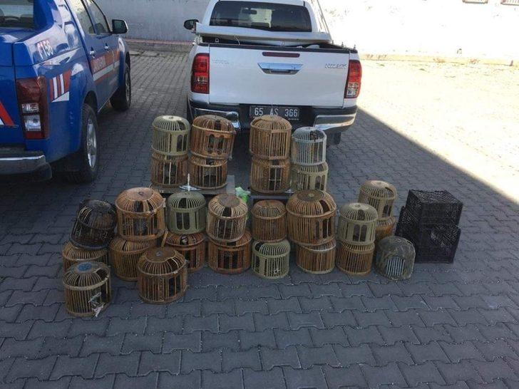 Erciş’te kaçak avlanmış 29 keklik ele geçirildi G3