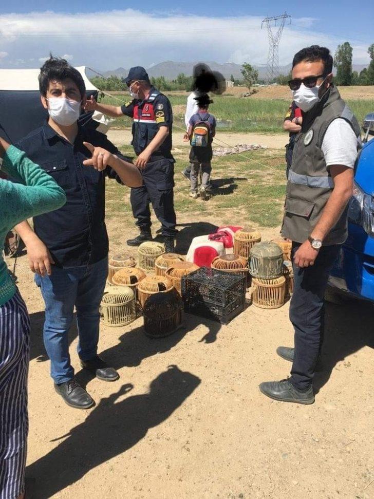 Erciş’te kaçak avlanmış 29 keklik ele geçirildi G4