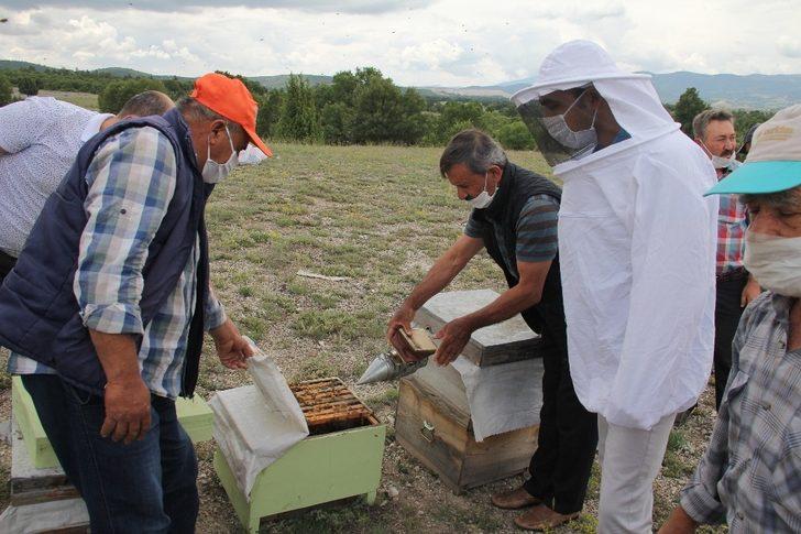 Gezgin arıcılar Emet’te buluştu G1