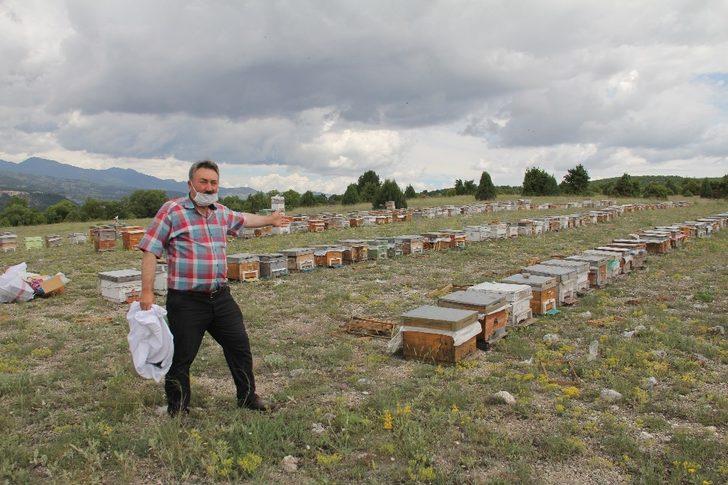 Gezgin arıcılar Emet’te buluştu G2