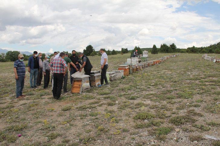 Gezgin arıcılar Emet’te buluştu G5