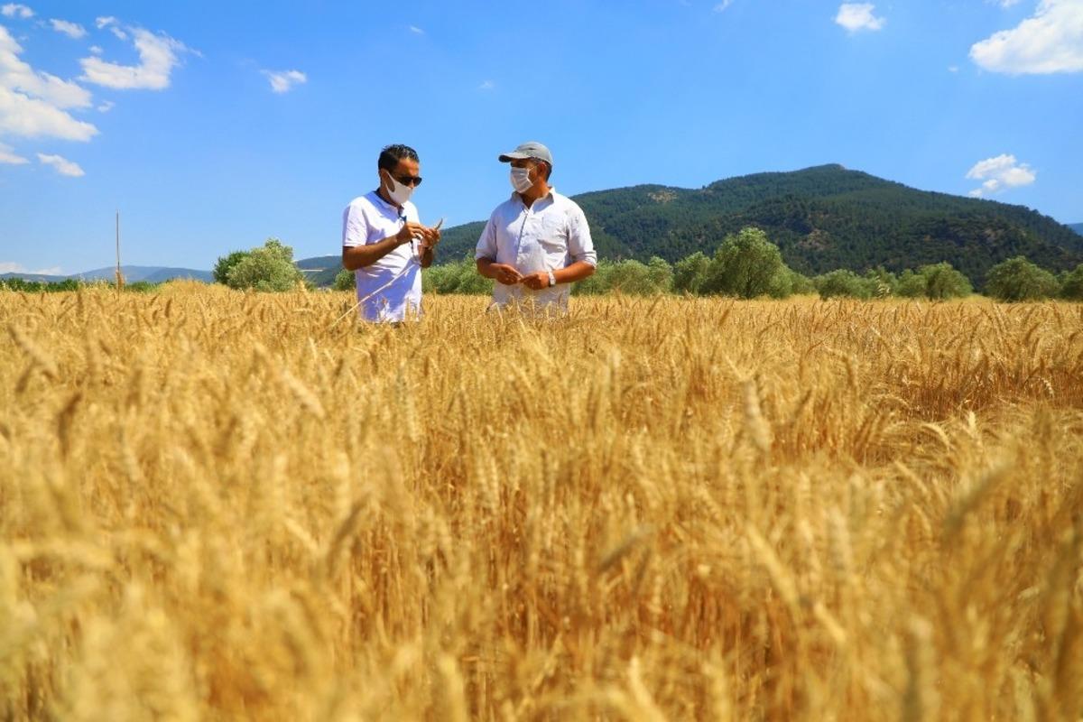 Muğla B&uuml;y&uuml;kşehir&rsquo;in &ccedil;ift&ccedil;ilere desteği s&uuml;r&uuml;yor