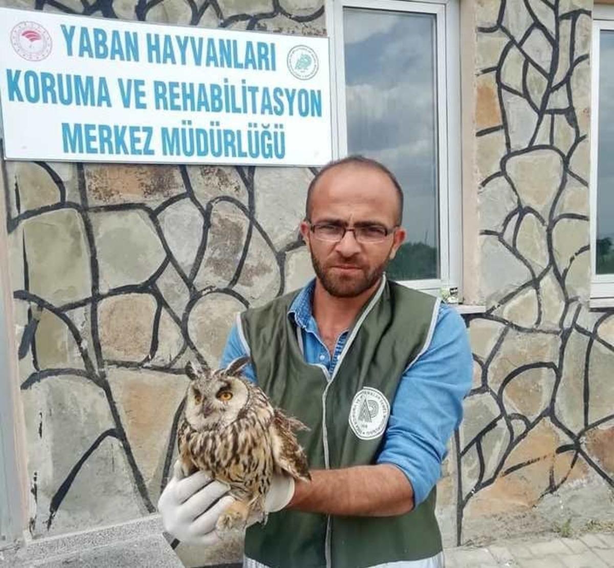 Van&rsquo;da yaralı kuşlar tedavi altına alındı