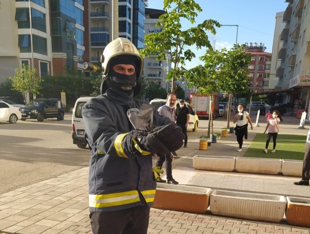 Van&rsquo;da bir iş yerinde yılan paniği