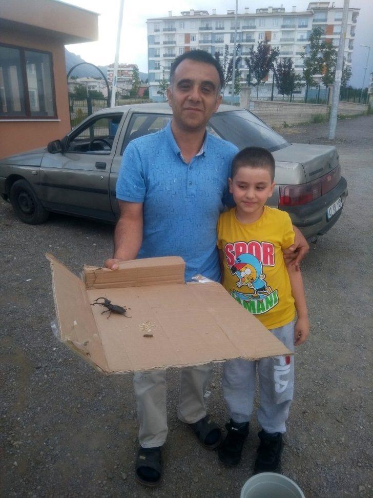 Konya’da koruma altındaki "geyik" böceği bulundu G4