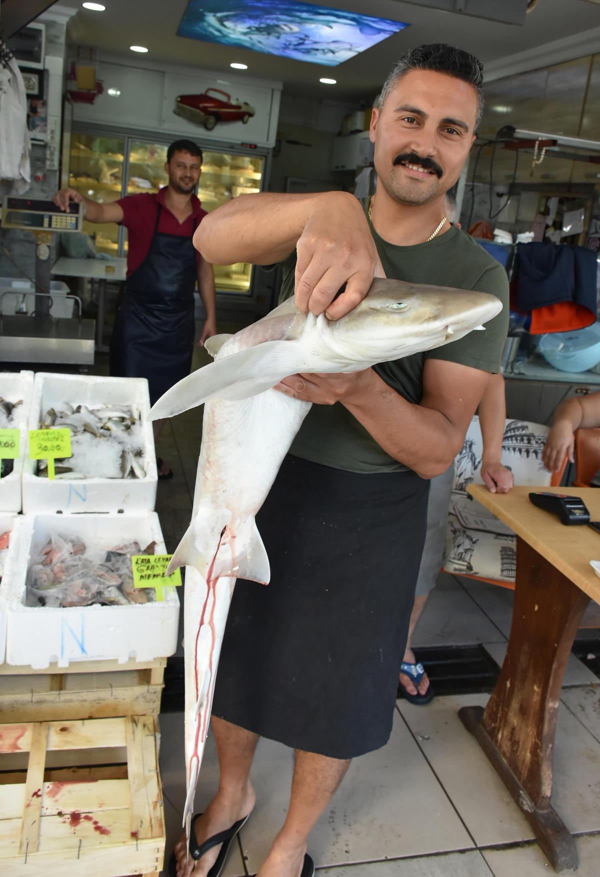 Oltaya k&ouml;pek balığı takıldı