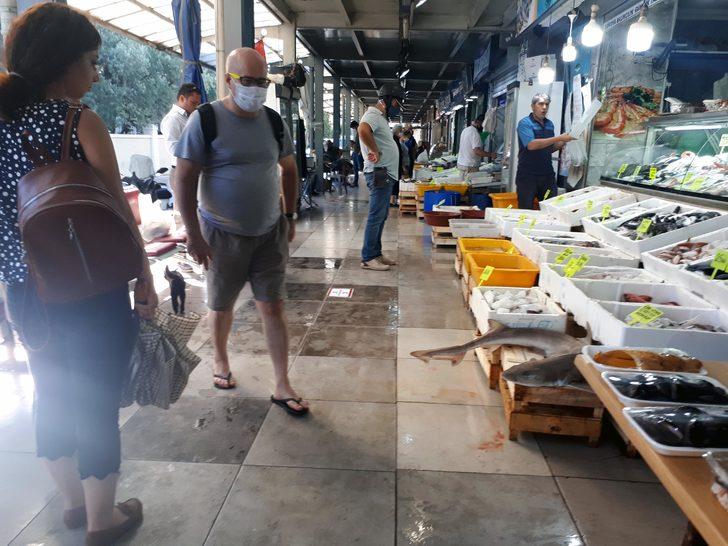 Oltaya köpek balığı takıldı G3