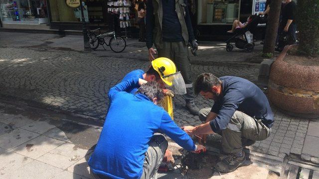 Eğik lamba düzeltme yerine tamamen kaldırıldı