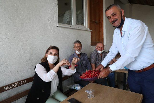 İzmit Kulfallı kirazı ve üzümü ulusal pazara açılacak