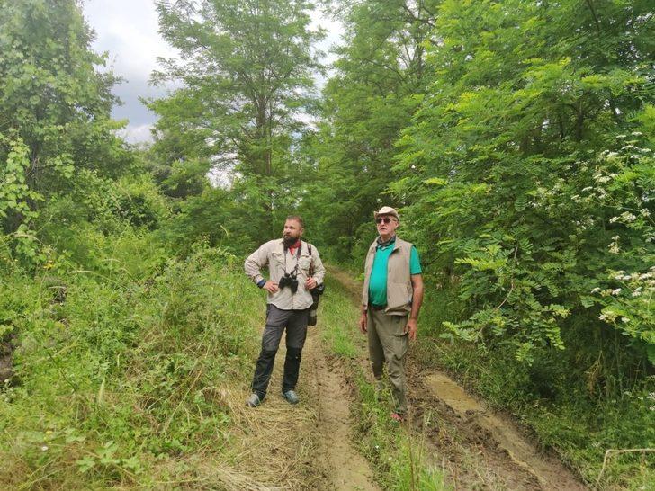 Çorum’da aslan görüldüğü iddialarına uzmanlardan sert tepki G1