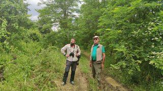 Çorum’da aslan görüldüğü iddialarına uzmanlardan sert tepki