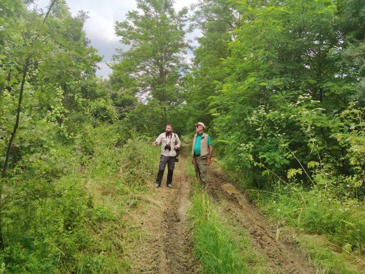 Çorum’da aslan görüldüğü iddialarına uzmanlardan sert tepki G2