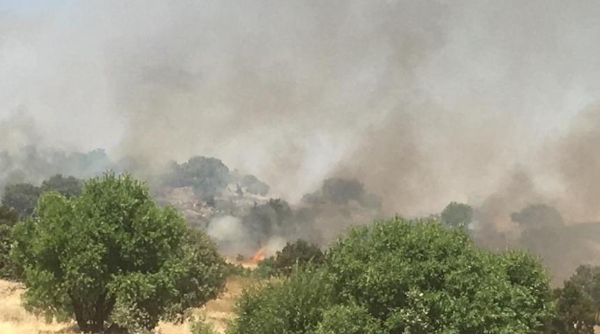 Midyat&rsquo;ta &uuml;z&uuml;m bağı ve orman yangını
