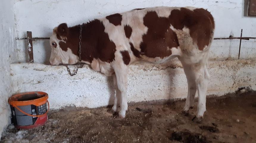 Oda Başkanı isyan etti: Telefon, &ccedil;akmak, kalem olsa gam yemeyeceğim de...