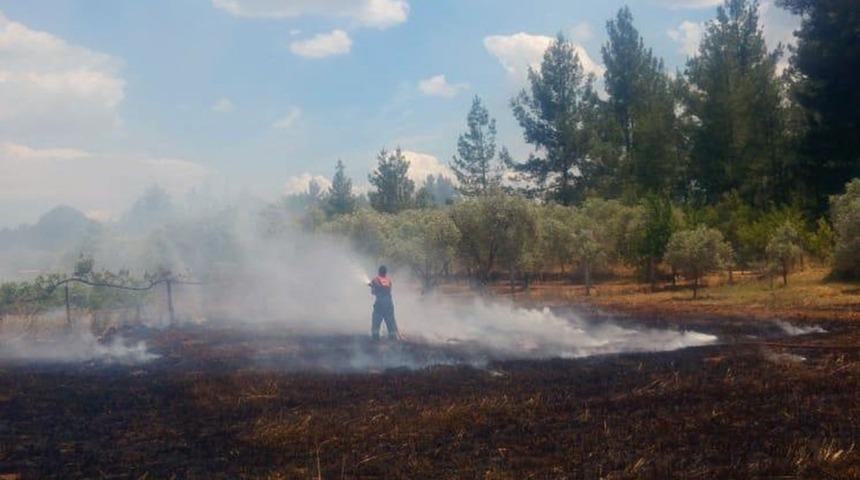 Muğla&rsquo;da anız yangını