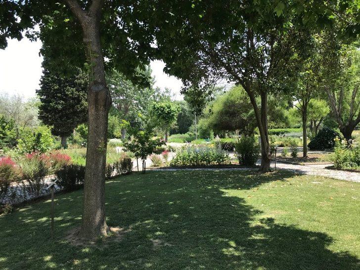 Merkezefendi Geleneksel Tıp Festivali 2. gününde G4