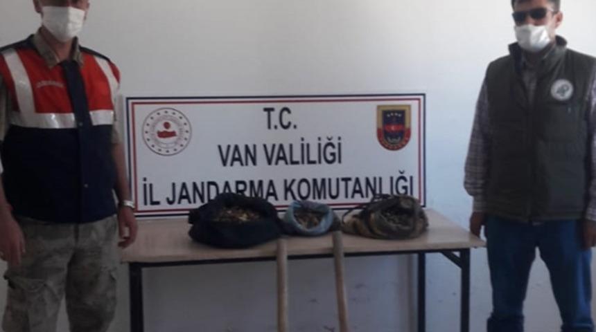 Doğadan toplanması yasak! Salep soğanıyla yakalanan 2 kişiye 147 bin 494 lira ceza kesildi