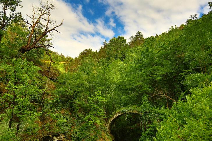 Fotoğrafçılar keşfetti! Artvin'de tarihi kemer köprü G5