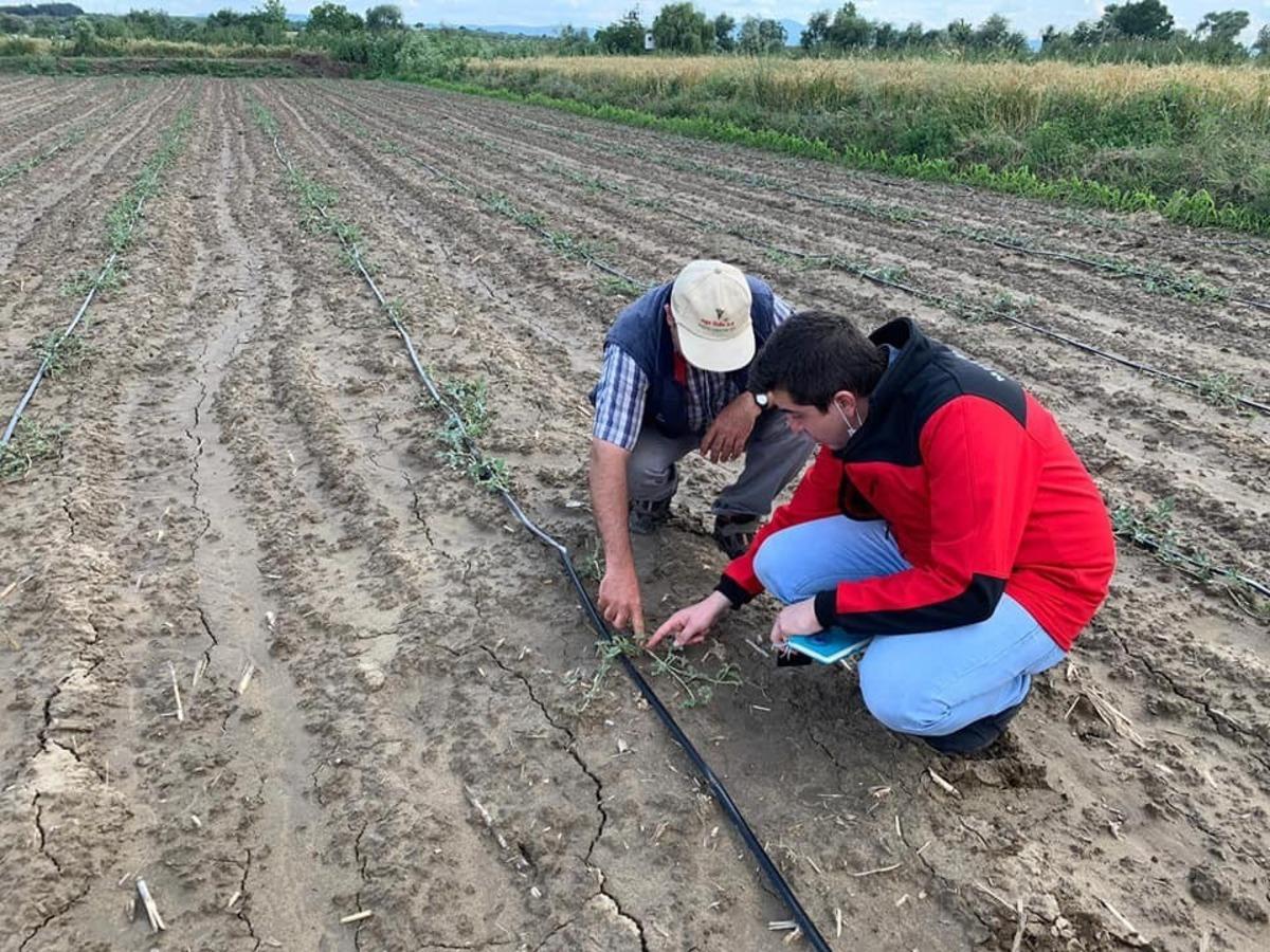 Mustafakemalpaşa&rsquo;da &ccedil;ift&ccedil;iye destek hız kazandı