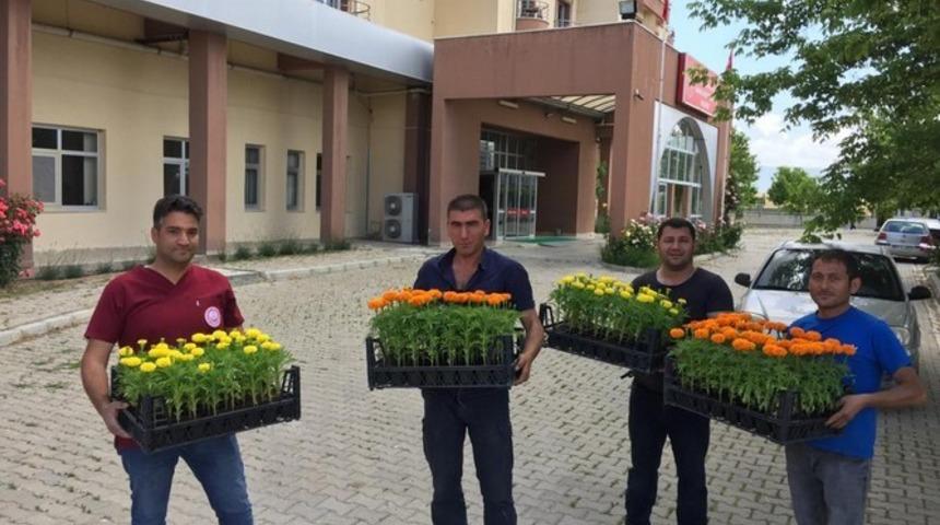 Sandıklı Belediyesi kamu kurumlarına 9 bin &ccedil;i&ccedil;ek dağıttı