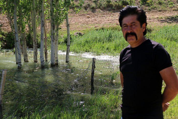 Malatya'da balık ölümleri nedeniyle Güzelyurt Göleti'nden numune alındı G1