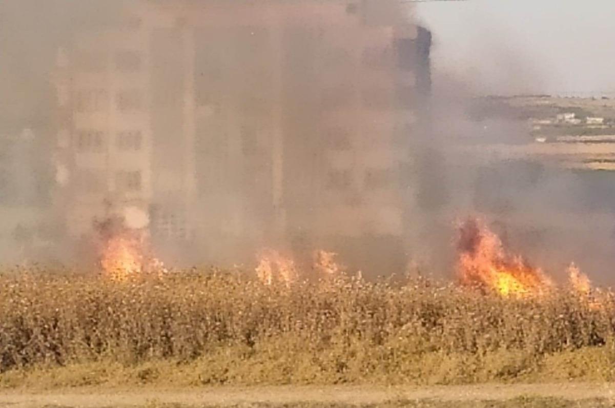 Şanlıurfa&rsquo;da anız yangını