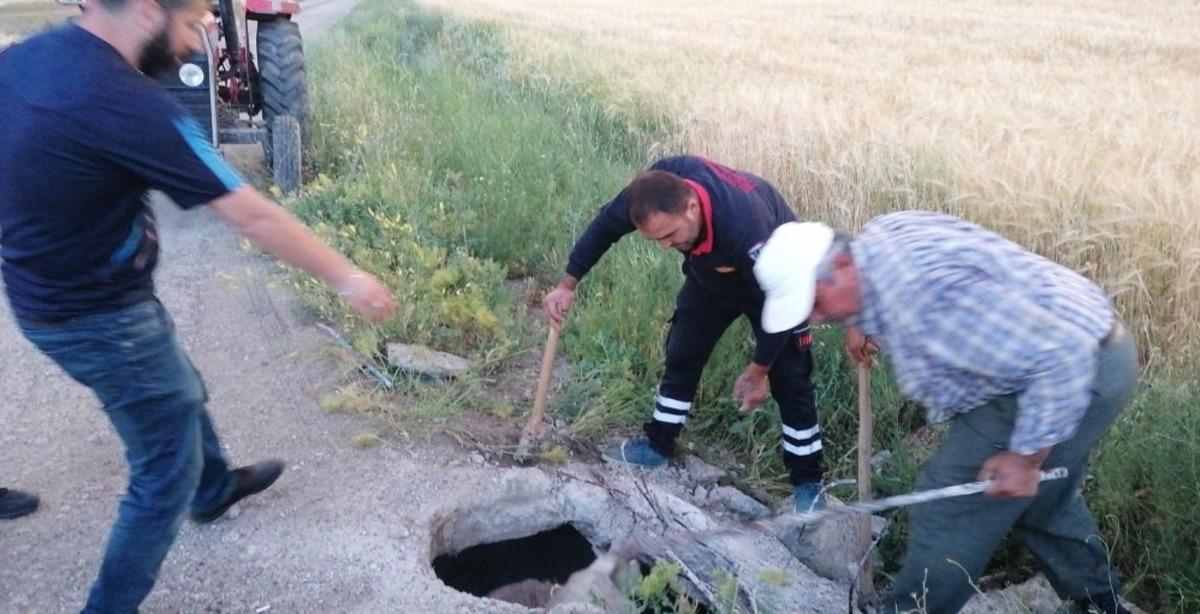 3 metrelik kuyuya d&uuml;şen ineği itfaiye kurtardı