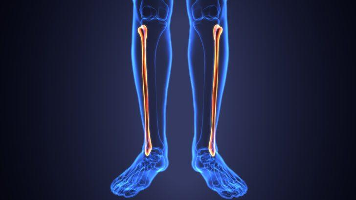 tibia-ve-fibula-kemi-i-nedir-kaval-kemi-i-tibia-kemi-i-nerededir