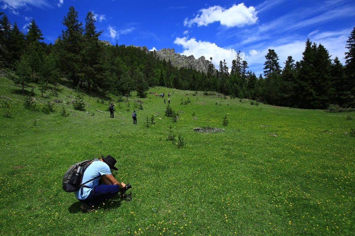 G&uuml;m&uuml;şhane yaylalarını y&uuml;r&uuml;yerek keşfediyorlar