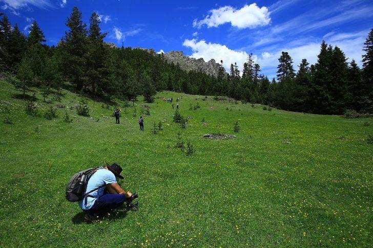Gümüşhane yaylalarını yürüyerek keşfediyorlar G1