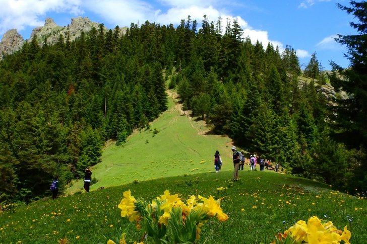 Gümüşhane yaylalarını yürüyerek keşfediyorlar G2